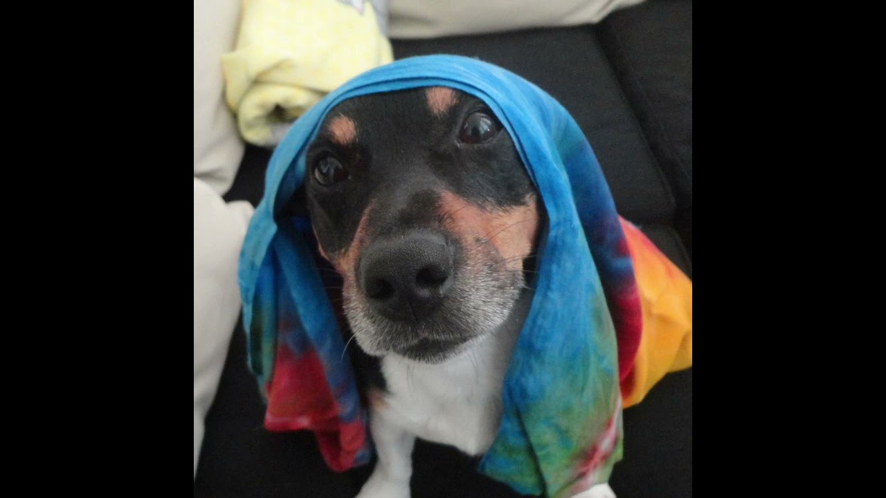 inside your head-TimArh (prod. TimArh)