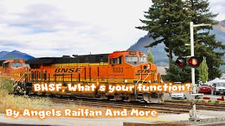 BNSF, What’s Your Function? (Meme)