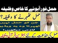 Hamal ki hifazat ka wazifa  hamal zaya nhi ho ga kabi bhi