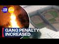 Radical new penalties for gang crimes | 9 News Australia