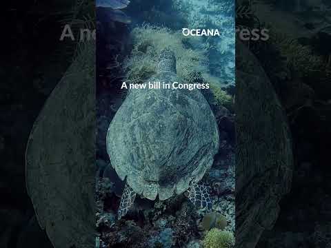 Defend the Endangered Species Act