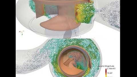 Transport of a rag in a centrifugal pump by a coupled Immersed Boundary - Lattice-Boltzmann method