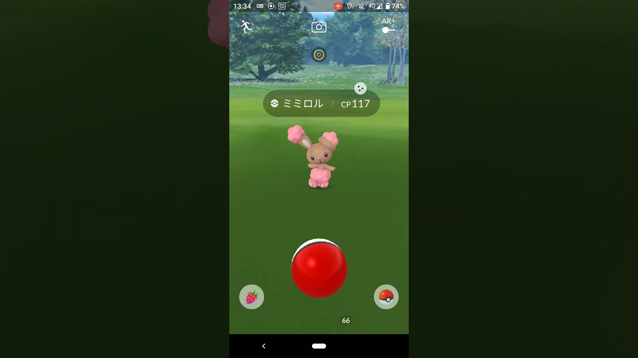 ミミロル色ちがい Youtube ミミロル色ちがい Youtube