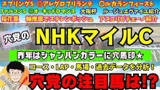 【穴党のNHKマイルC2024】【昨年はシャンパンカラーに穴馬印★】穴党がNHKマイルカップで狙いたい馬を紹介！