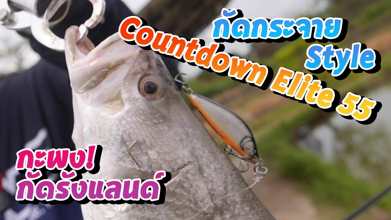 จับ Rapala Countdown Elite 55 ไปตบกะพงบ่อกัดรังแลนด์ | กัดโหดเหมือนโกรธเหยื่อ