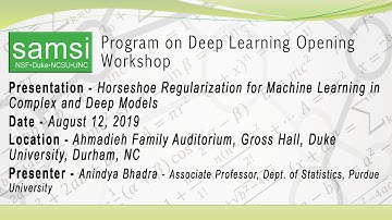 12 August 2019, Deep Learning Opening Workshop: Horseshoe Regularization in Complex and Deep Mod...