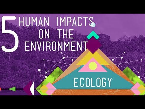 Influence of Human Activity on the Environment   Pen2Print Lectures and ...