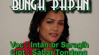 Bunga Papan - Intan br. Saragih