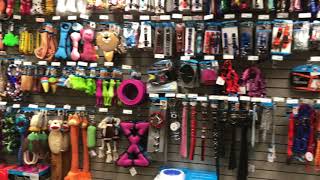 Kole Imports - Showroom