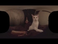 【360度動画】猫店長が上にのってくるマッサージ店「眠れるほぐし処 うたたね」