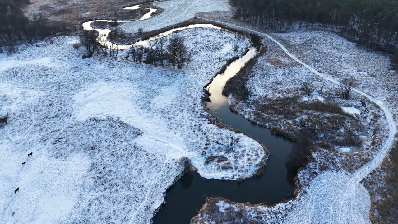 Pierwsze latanie dronem DJI mini 5 pro | Łąki przed Goleniowem rzeka INA | styczeń 2026