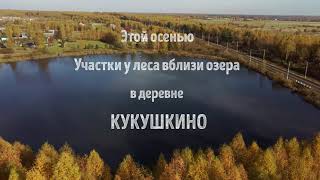 Кукушкино - деревня с особым настроением 🐄🦋🌞