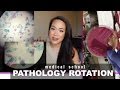 Medical School | Pathology Rotation