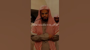 شيخ أبوبكر الشاطري #تلاوة_خاشعة #коран #القرآن_الكريم #قرآن