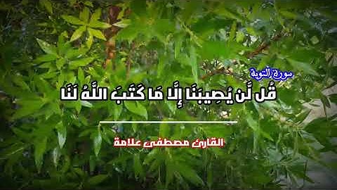 آيات من سورة التوبة تجعلك تشعر براحة نفسية 😌✔️ {{ قل لن يصيبنا إلا ما كتب الله لنا 🤲 }}
