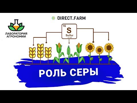 Роль серы в питании с/х культур 0+