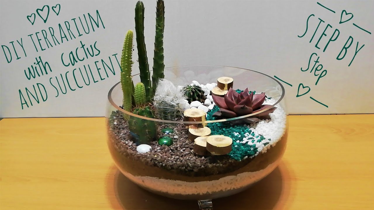 Cactus & Succulent Terrarium, Space Gardening