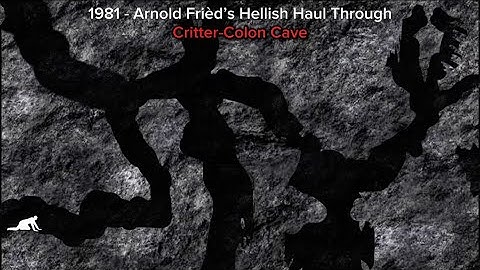 The 1981 Arnold Frièd Cave Diving Incident