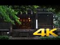 Tokyo okusawa shrine in the summer rain    4k ultra