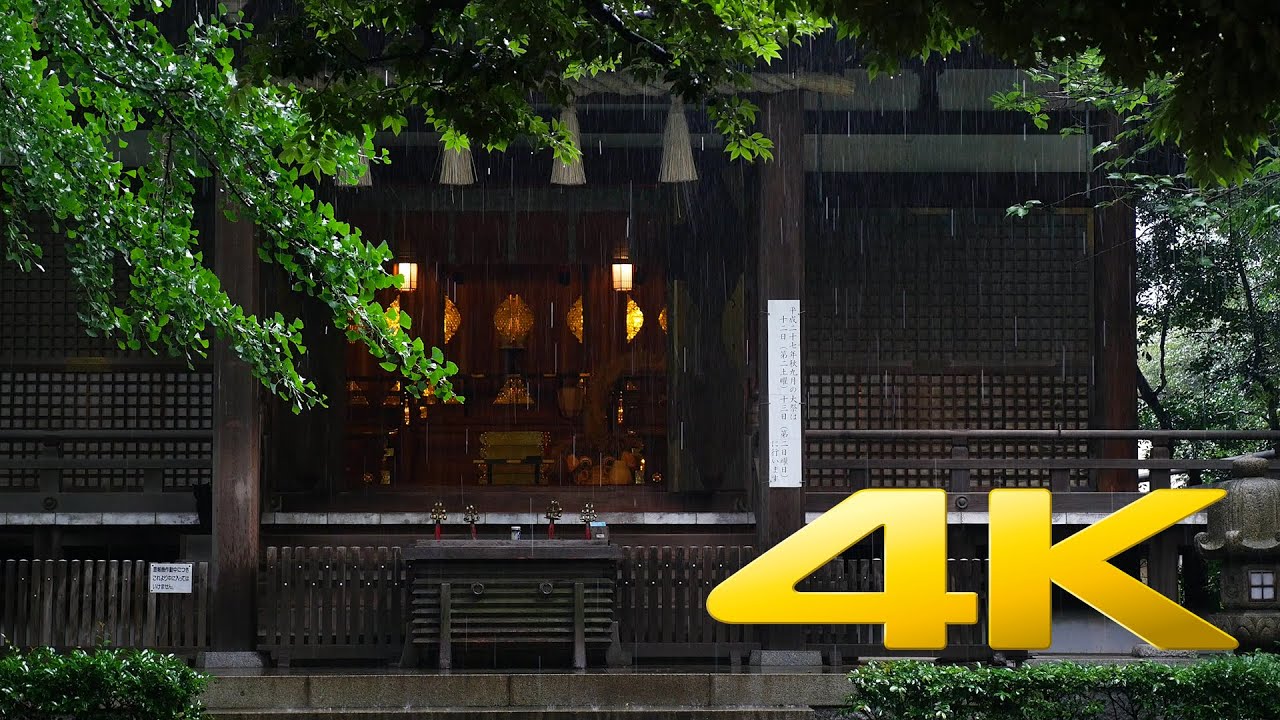 ⁣Tokyo Okusawa Shrine in the summer rain - 奥澤神社 - 4K Ultra HD