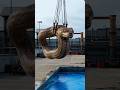 Giant Snake Water Scene | Cinematic Deep Splash Moment 🌊🐍 #satisfying #clean #anime #snakevideo