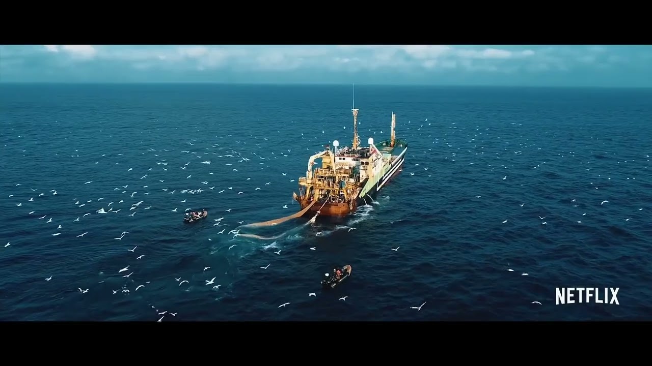 Seaspiracy: Denizlerdeki Komplo Resmi Fragman kapak görseli