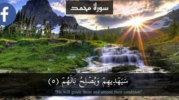 سورة محمد page 507 {القارئ طارق محمد}