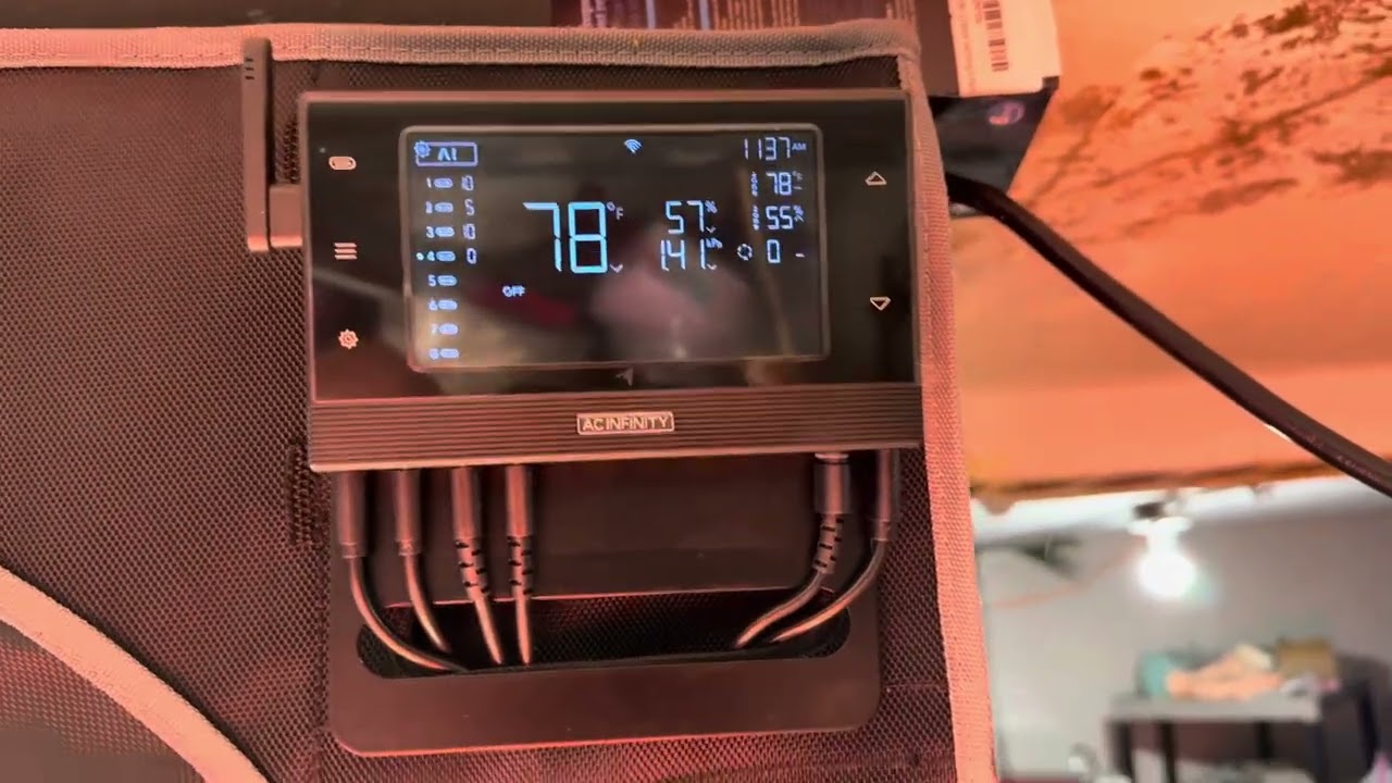 Growing weed Mandarin cookies V2 update ￼