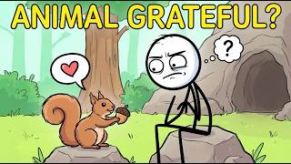 Animal Behavior: Do They Really Feel Thankful
