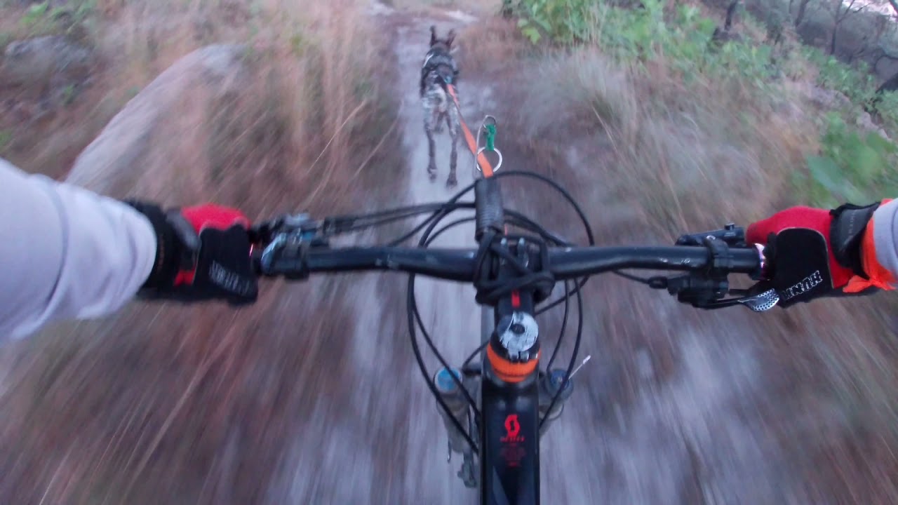 Bikejoring 5 km The Dryland Race Guadalajara 2021 - Eric Hernández | Killer