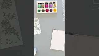 Tuesdays with Tracey episode 14
