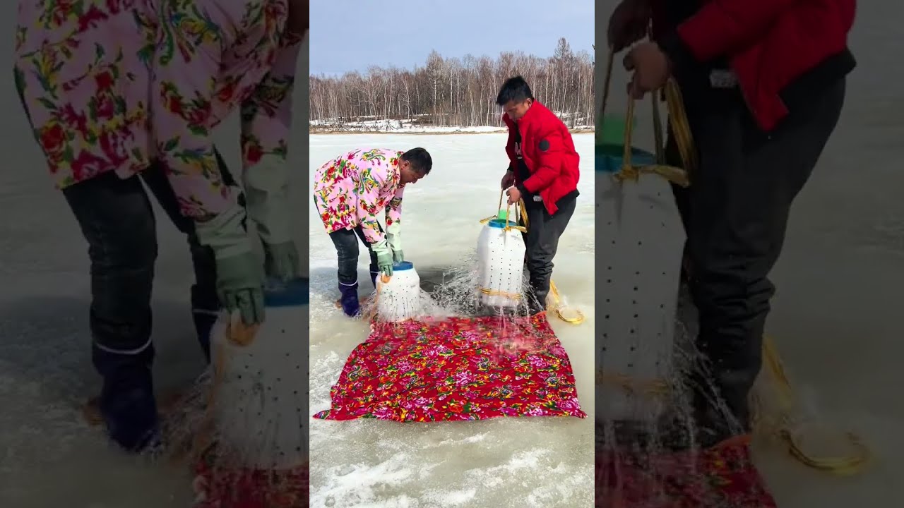 Fishing In Mohe The Northeast Joy Of Outdoor Wild Experiencex 425