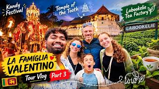 From Kandy Festival to Ceylon Tea 🍃 | Our Sri Lankan Adventure | Tour Vlog Part 3