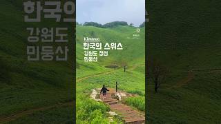 한국의 스위스 민둥산 #민둥산 #민둥산백패킹 #강원도백패킹 #백패킹 #솔캠 #백패킹브이로그 #백패킹성지 #강원도여행 #정선여행