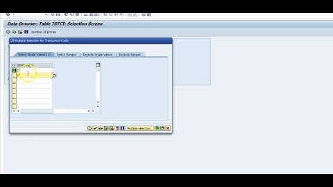 SAP Security -Custom transaction
