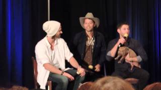 DallasCon '13 Misha crashes J2's panel with Icarus the Pig.