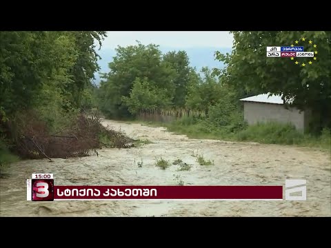 დატბორილია ხორბლის ყანები, ვენახები, სავარგულები | წვიმის შედეგად კახეთში მდინარე ადიდდა