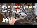 Bike Maintenance: How to Remove a Rear Wheel with a Thru Axle