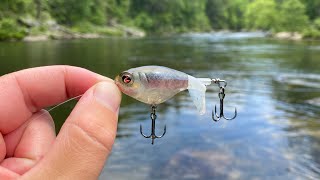 River Bass LOVE the Whopper Plopper 60!!