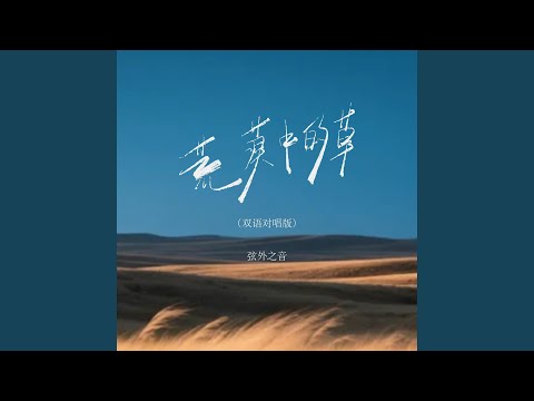 荒漠中的草 (双语对唱版)
