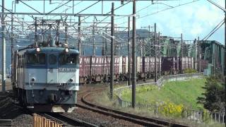 JR貨物 EF65-1040 貨物列車(5087レ JR貨物更新色 白プレート) 穂積駅