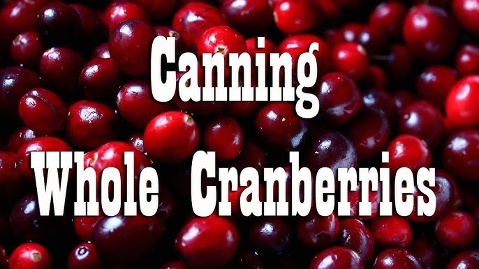 Cranberry Juice For Canning - Two Methods! • The Rustic Elk