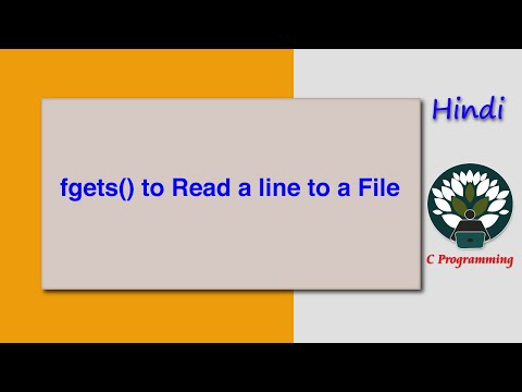 HINDI fgets() to Read a line to a File