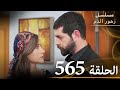 الحلقة 565 مسلسل زهور الدم مدبلج بالعربية Kan Çiçekleri الجزء الثالث 