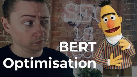How to Optimise for the Google BERT algorithm update?  | Canonical Chronicle