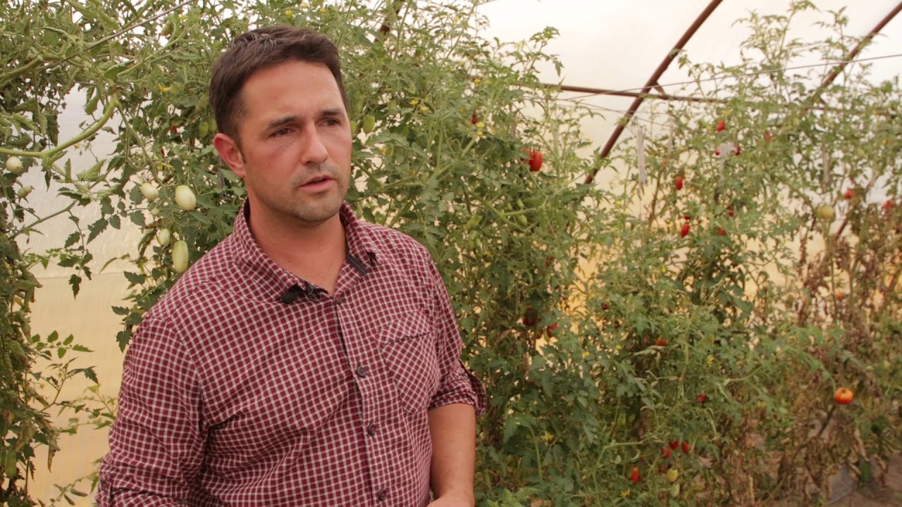 5 növényvédelmi tipp kezdőknek