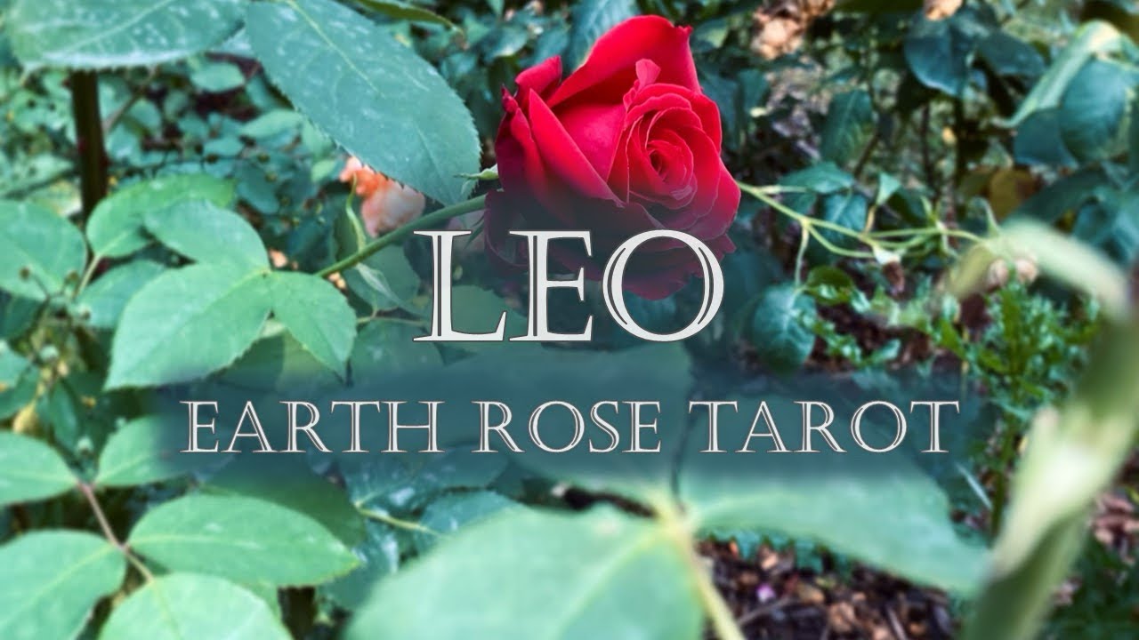 Leo Tarot : The Runner is getting sick of their own sh*t 😬😅 and a karmic wants to catch you out 🤐🤫