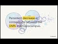 Psilocybin and PTSD: Restoring Neuroplasticity and Fear Extinction Capacity