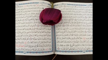 ّسورة الملك بصوت عذب شجي