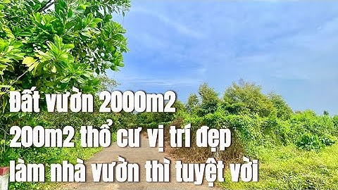 Bán đất vườn 2000m2 sẵn 200m2 thổ cư đường nhựa đẹp đất đỏ bazan màu mỡ giá quá rẻ ở BRVT